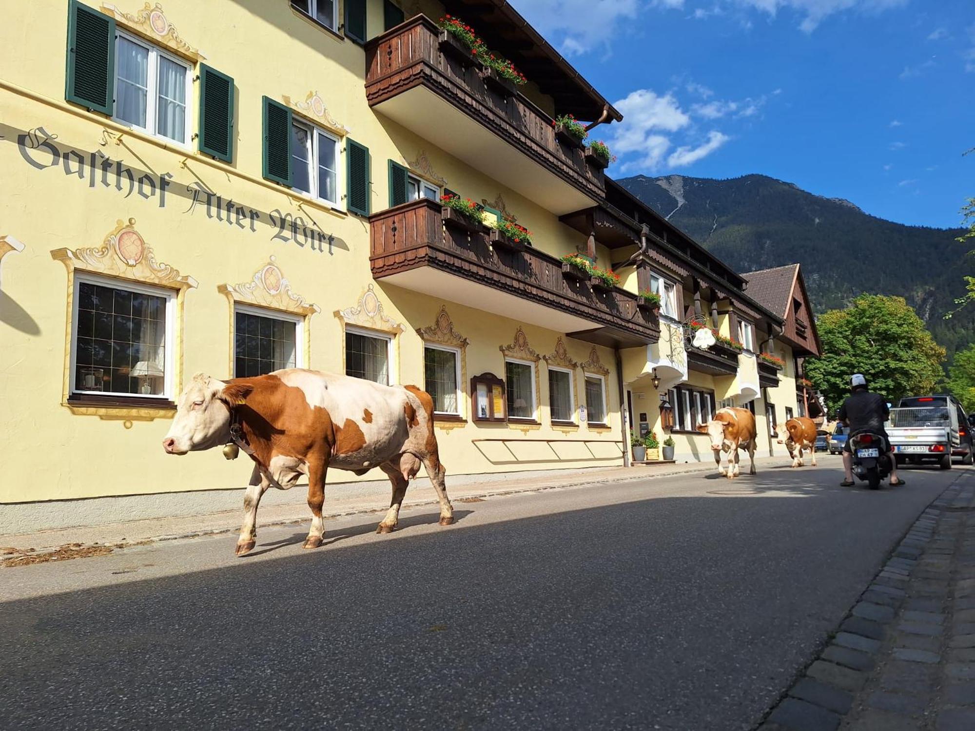 Hotel Gasthof Alter Wirt Farchant Eksteriør bilde