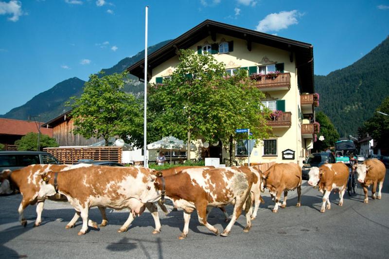 Hotel Gasthof Alter Wirt Farchant Eksteriør bilde